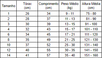 JIDI KIDS VERÃO CAMISETA MASCULINA