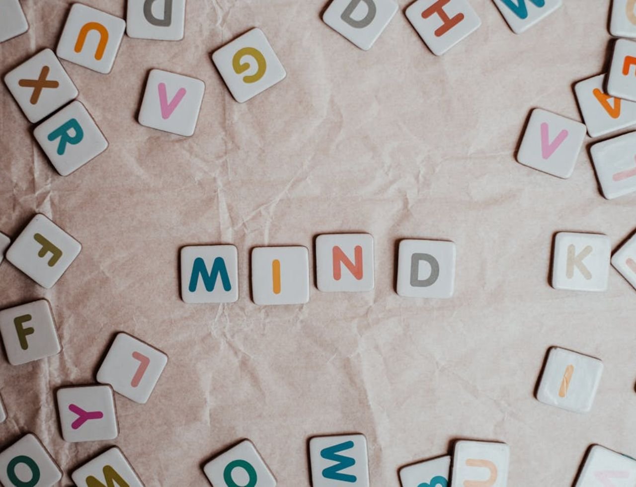 11 06 vt jr 330 jpg 6